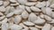 Close-up of pumpkin seeds rotate. Harvest of pumpkin white seeds. Dried unpeeled fresh pumpkin seeds, selective focus, scarlet dep