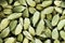 Close up of pumpkin seeds textured background