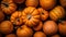 Close up pumpkins full frame fresh background. Organic pumpkins.