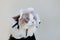 Close up of puppet cat in maid`s dress with cute hat, the cat is licking.Side face