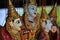 Close-up Puppetry Art of Thai