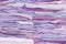 Close up purple fabric Rag texture and background