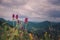 Close up of purple pink medicinal herbs flowers in the mountain field