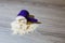 Close-up purple scoop in protein powder slides