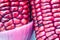 Close up purple sweet corn, beautiful grain for healthy.