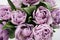 Close up purple tulips photo. Spring concept. natural girly background. flowers design. Slow living mindful life