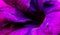 Close up of purple violet colored Petunia flower