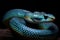 close up of a python. Generative AI