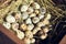 Close up of quail eggs on hay, natural organic product for healthy eating, photo for farm store ad