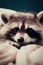 A close up of a raccoon laying on a bed. Generative AI image.