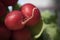 A Close-up of Radishes