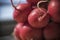 A Close-up of Radishes