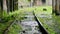 Close up of the railway track after the rain. The rain drops into a small puddle.