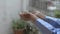 Close up the rain drop into woman`s hands. Girl in blue raincoat play with the rain in front of the house.