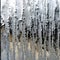 Close-up of Raindrop-Covered Window