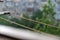 Close-up of raindrops on a clothesline. Summer downpour. Trees with lush green foliage blurred in the background panorama.