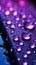 Close up Raindrops on window with soothing purple light illuminating them