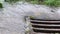 Close up of rainwater pouring into drain through metal grill