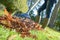 Close up rake and fallen leaves with grass