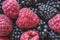 Close up of raspberries and blackberries fruit.