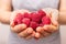 Close-up raspberries in the hands of a girl, a handful of berries