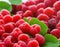 Close up of raspberry. Generative AI