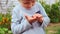 Close up a raspberry in hands of child in the backyard, agrarian life