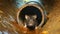 Close-up of a Rat Inside a Rusty Sewer Pipe - Generative Ai