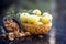 Close up of raw amla or Phyllanthus emblica or Indian gooseberry in a fruit basket with its dried seed powder in a clay bowl used