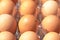 Close up raw fresh of brown chiken eggs.