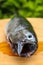 Close up of raw mackerel. Fresh fish with an open mouth on a wooden plank