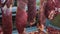 Close up of raw meat in the food market. Lamb carcasses hanging on hooks in a meat refrigerator. Beef tenderloin in a