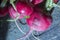 Close up of raw radishes with nutrition label