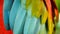 Close up of Red Amazon Scarlet Macaw parrot or Ara macao, in tropical jungle forest. Wildlife Colorful portrait of bird