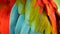 Close up of Red Amazon Scarlet Macaw parrot or Ara macao, in tropical jungle forest. Wildlife Colorful portrait of bird