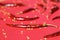 Close up of Red Arbol Chili Peppers scattered on red background.