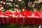 Close-up of red blessing ribbon in Medicine Buddha old temple in Jingpo lake geopark2