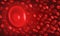 Close up red blood cells in the veins background 3D illustration