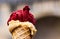 Close up of of red and brown scoops of ice cream in waffle cone against blurred background