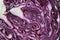 Close up of red cabbage