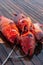 Close-up of red coral grouper on the deck.