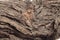 close up of the red and dark colors and textures of Native Australian \\\'stringy bark\\\' trees, with twists and holes and valley