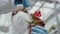 Close-up of red flower in pot with blurred Caucasian woman in respirator adding fertilizer. Female biologist scientist