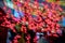 Close-up of red garland, decorative glowing neon sakura. Abstract defocused motion blurred background. Selective focus