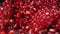 Close up of red grains of ripe delicious pomegranate falling with juice