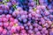 Close up red grape on the shelf in fresh market. healthy fruits for anti oxidant