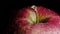 Close-up of a red-green apple with water droplets macro shot. The apple rotates around its axis on a black background