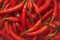 Close up of red hot chili peppers texture background, copy space