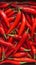 Close up of red hot chili peppers texture background, copy space