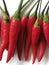 Close up on Red hot chilli on white background